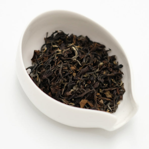 Oriental Beauty oolong loose leaf with silvery tips in a white ceramic tea scoop