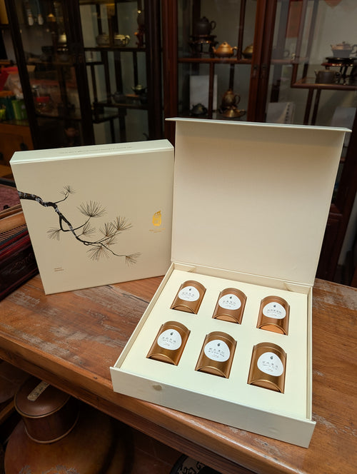 6 in 1 Mini Tin Premium Gift Box