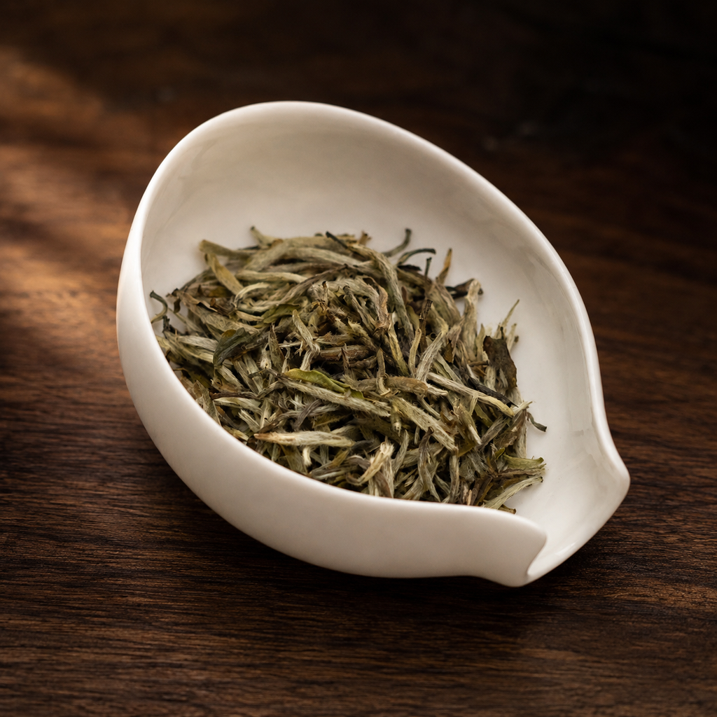 Silver Needles in warm window light - Tea Chapter Singapore